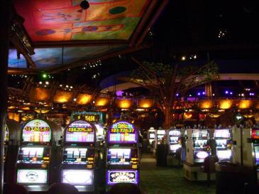 Trickster's paradise