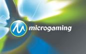 Microgaming